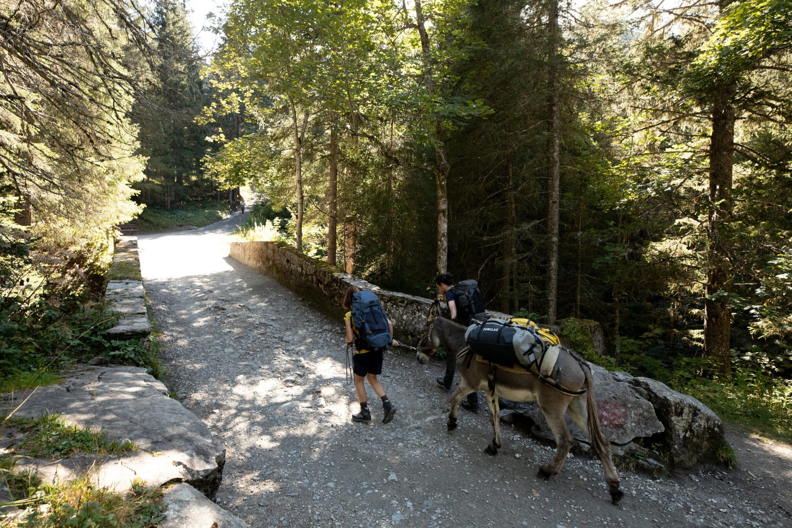 Simond 500 Extend 80-120 L Duffel Bag - Image 28