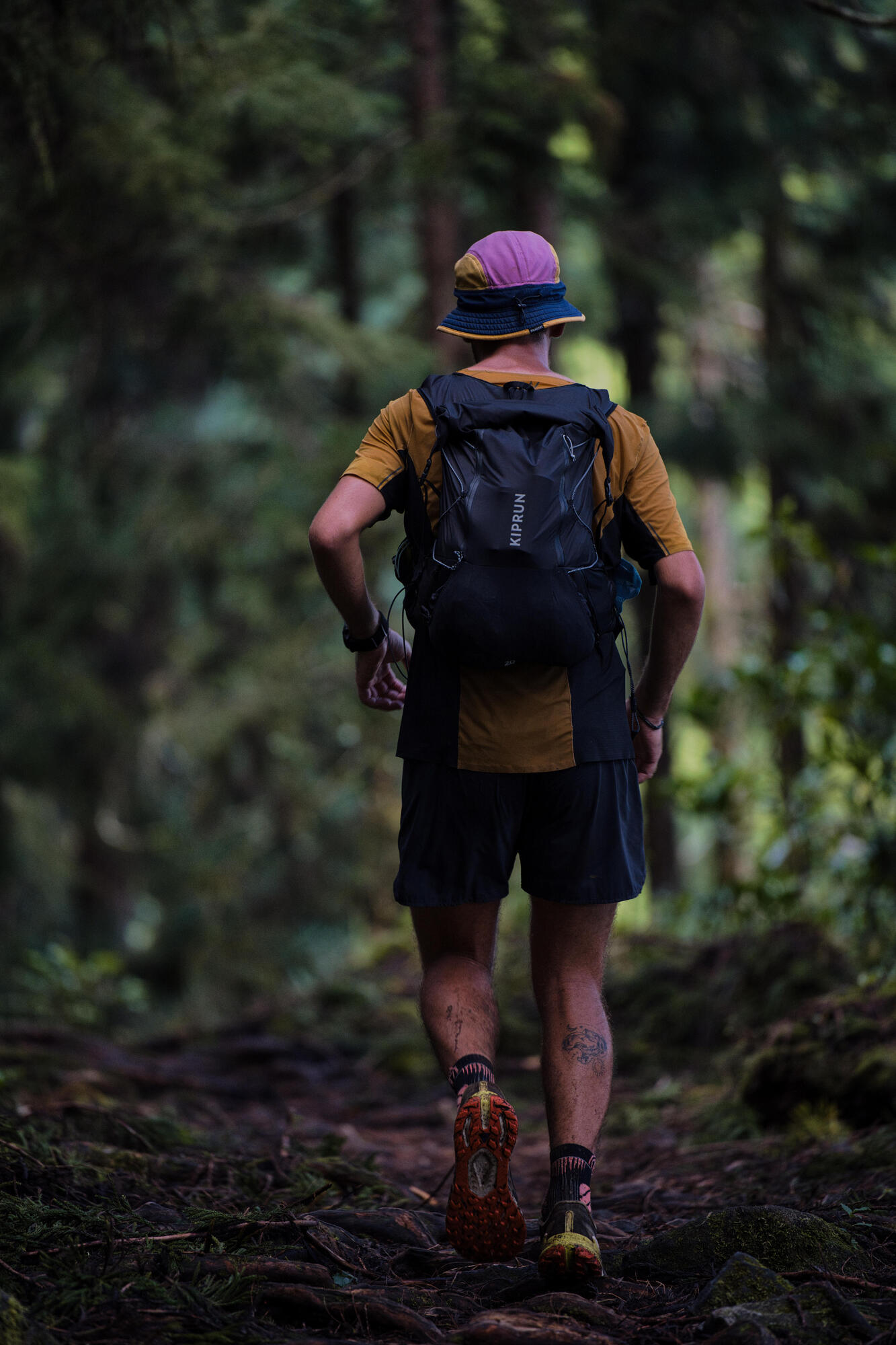 Kiprun 15L Ultra Trail Running Hydration Vest - 2L Water Bladder Included - Image 14