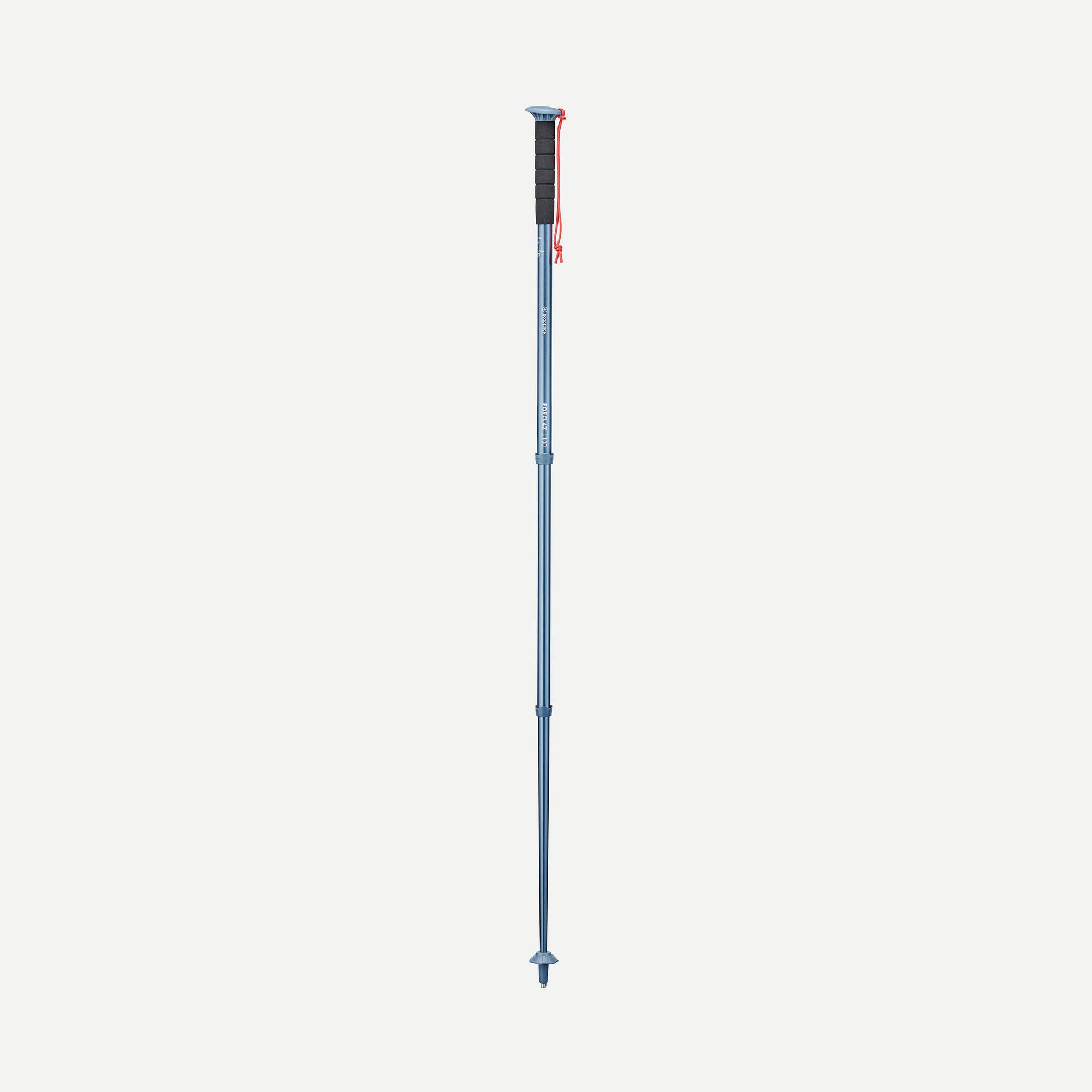 Forclaz MT100 Hiking Pole (Single Pole)